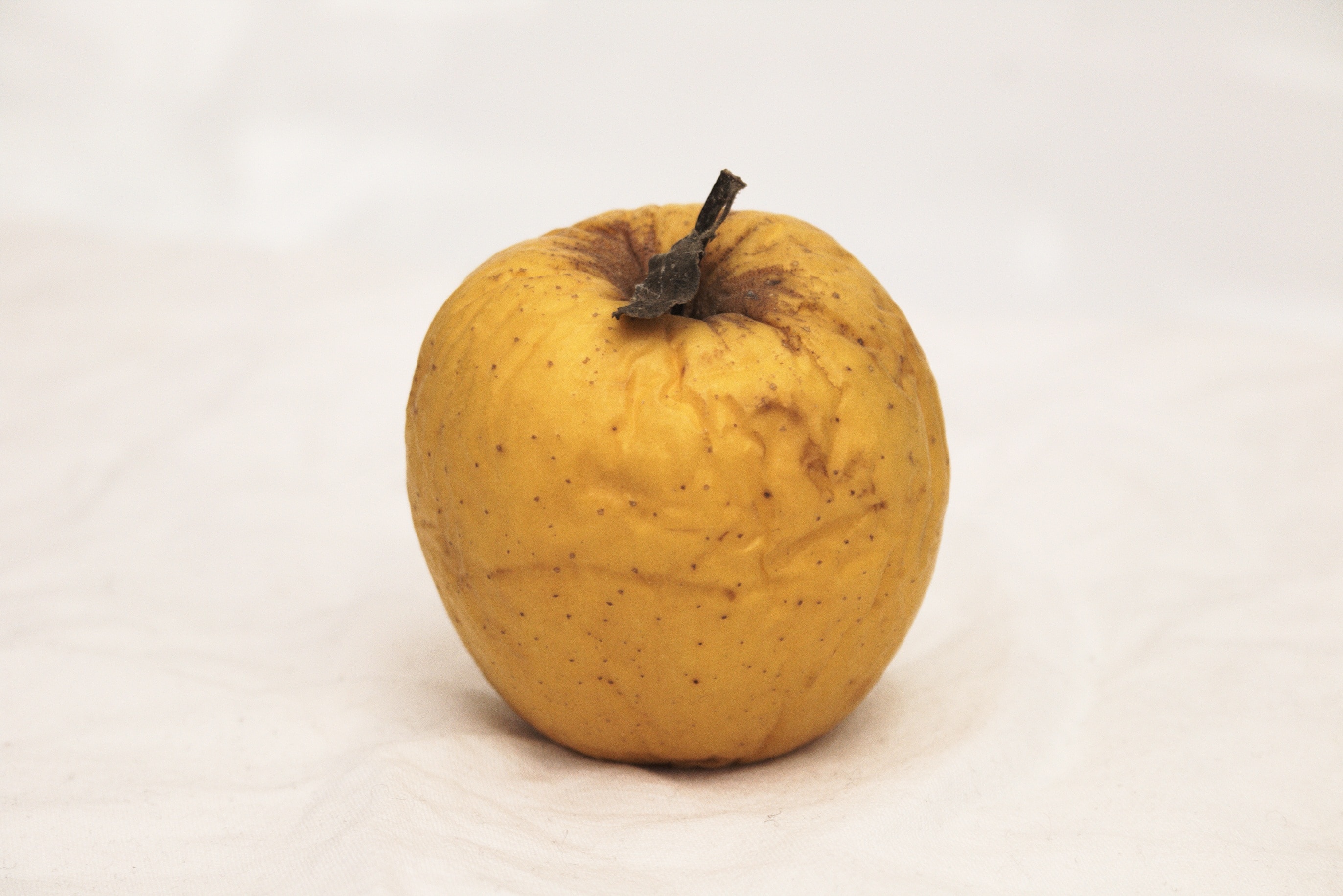 yellow round fruit