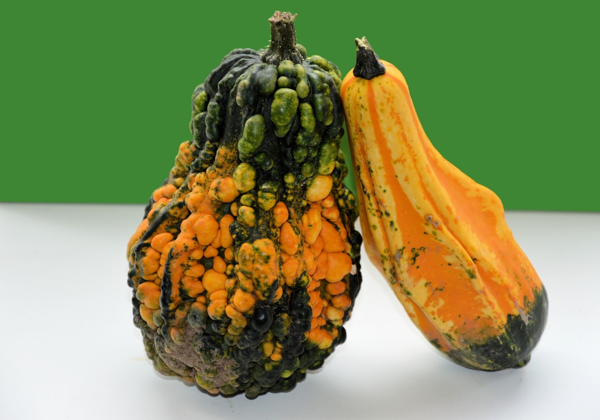 2 green and yellow squash