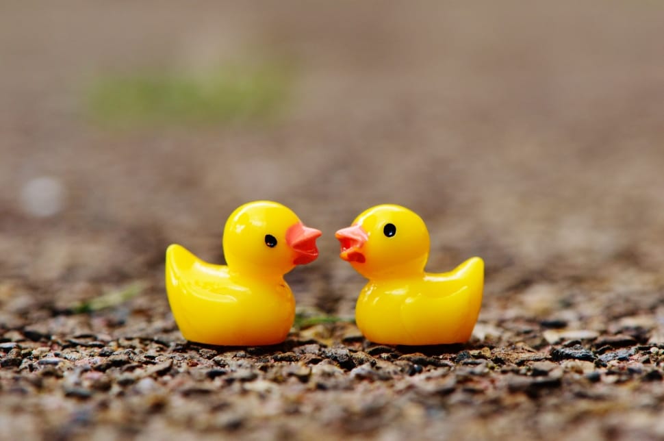selective focus photography of two rubber ducks preview