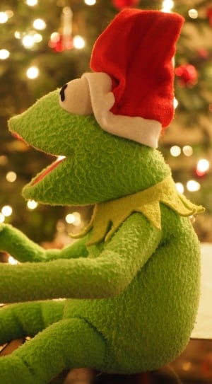 Christmas Frog, Kermit, Frog, Christmas, christmas, christmas tree thumbnail