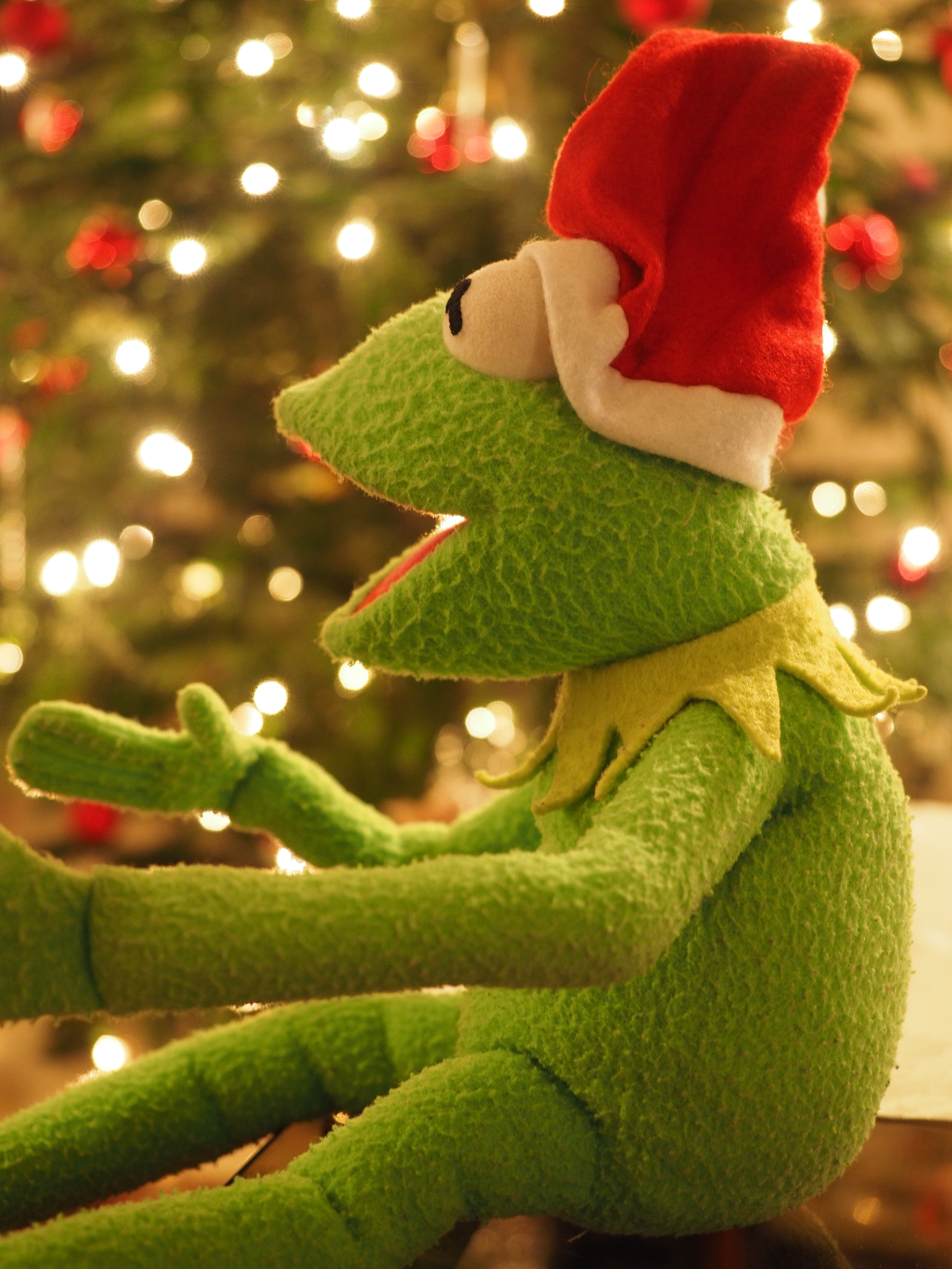 Christmas Frog, Kermit, Frog, Christmas, christmas, christmas tree