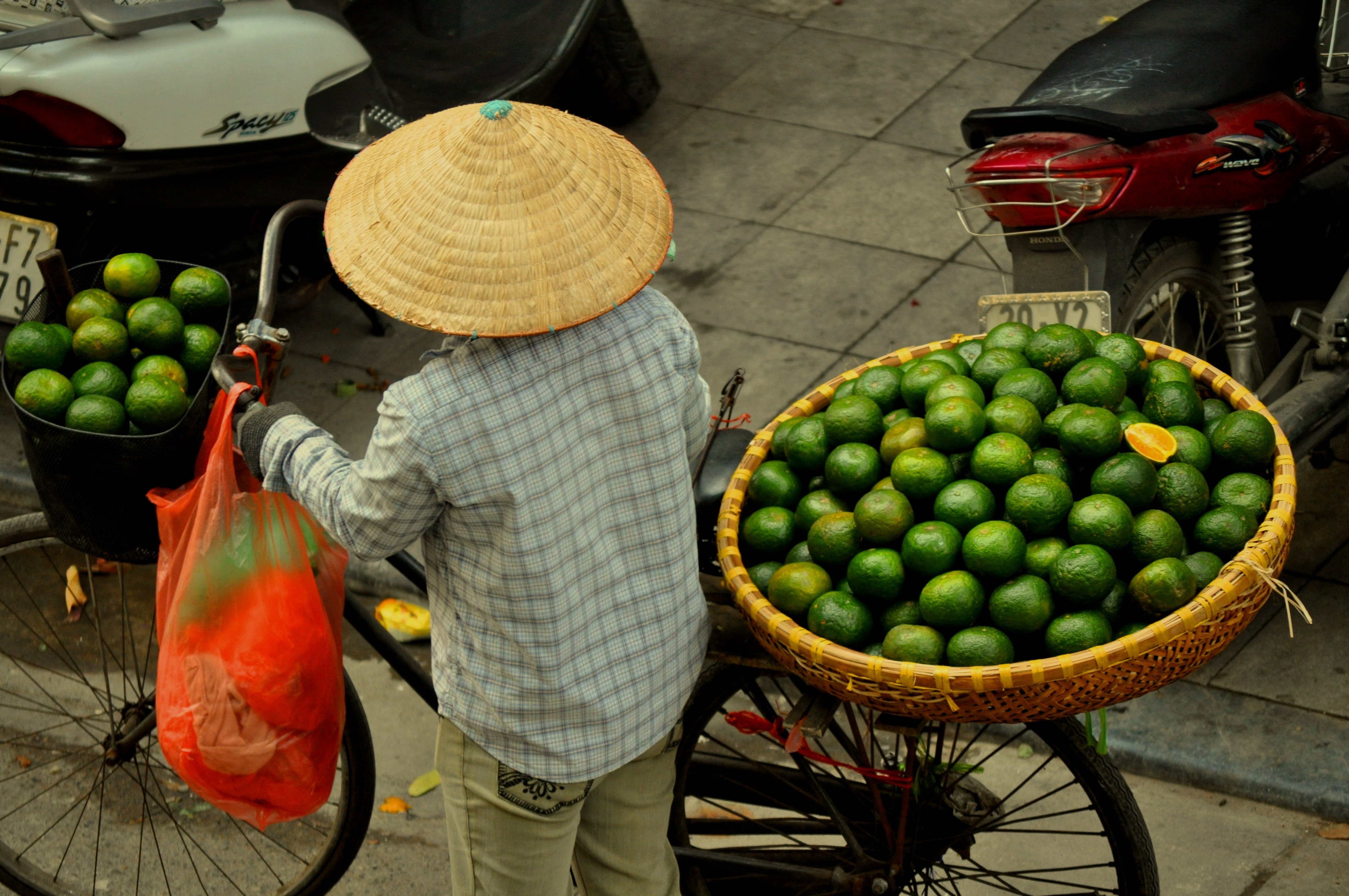 Oranges, Hanoi, Market Woman, Asia, Bike, fruit, food and drink