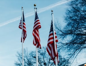 3 america flags thumbnail