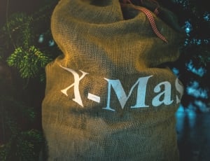 christmas, tree, bag, package, no people, outdoors thumbnail