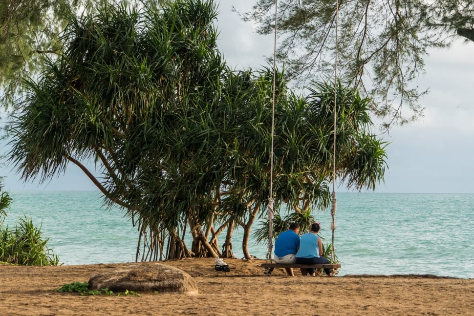 2 men sitting on wooden swing near sea preview
