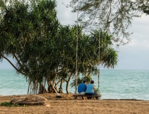 2 men sitting on wooden swing near sea thumbnail