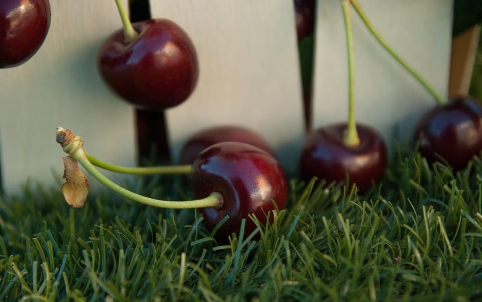 brown cherries preview