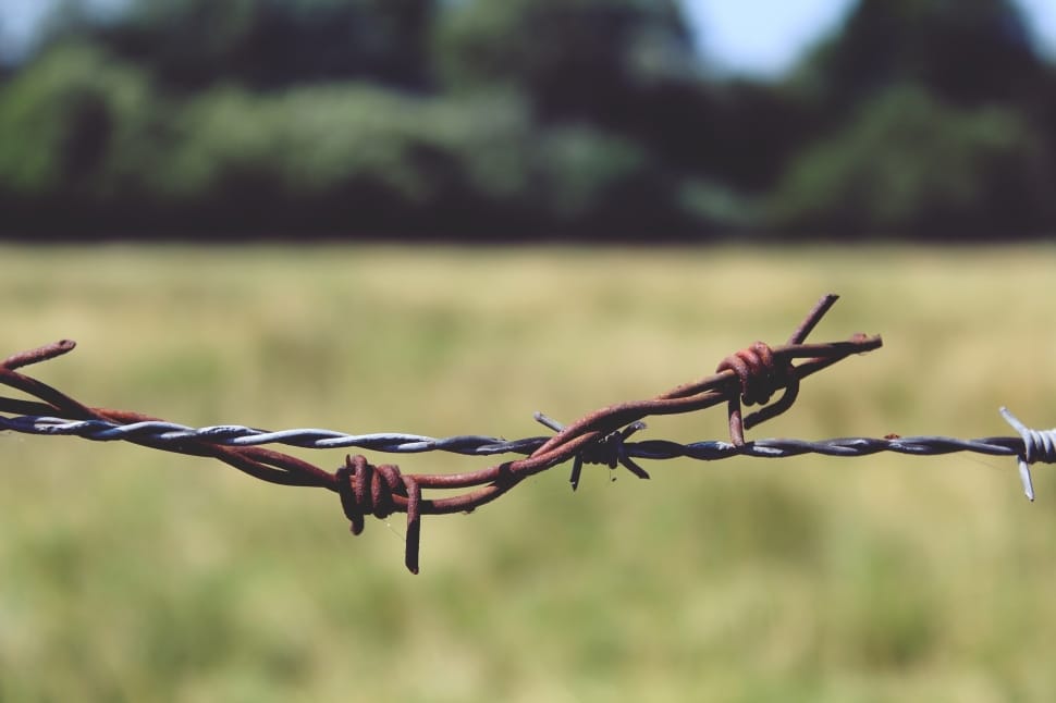 Barbed Wire, Fence, Metal, Wire, Thorn, barbed wire, day preview