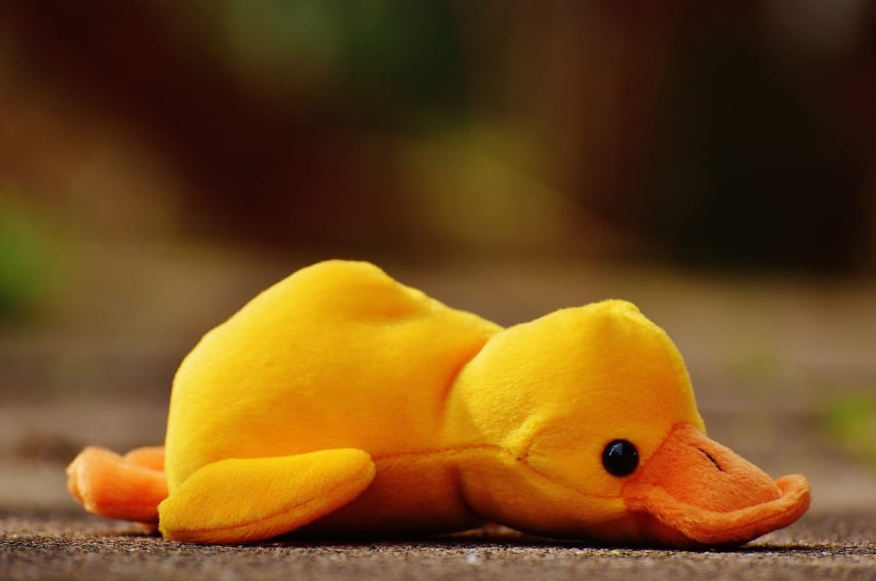 Soft Toy, Funny, Children, Toys, Duck, one animal, yellow preview