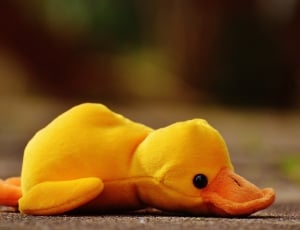 Soft Toy, Funny, Children, Toys, Duck, one animal, yellow thumbnail