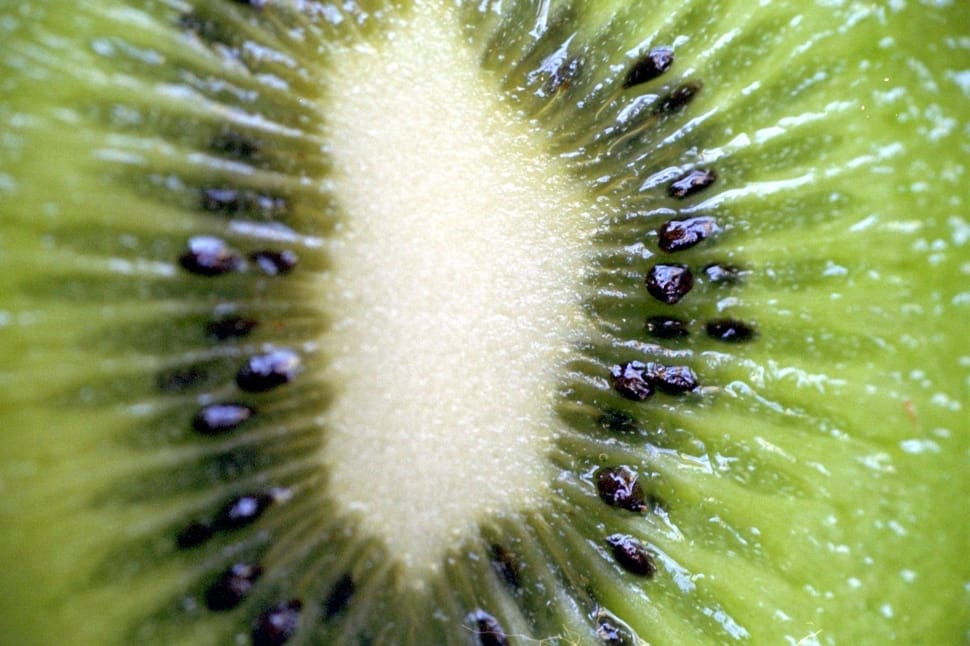 kiwi fruit preview