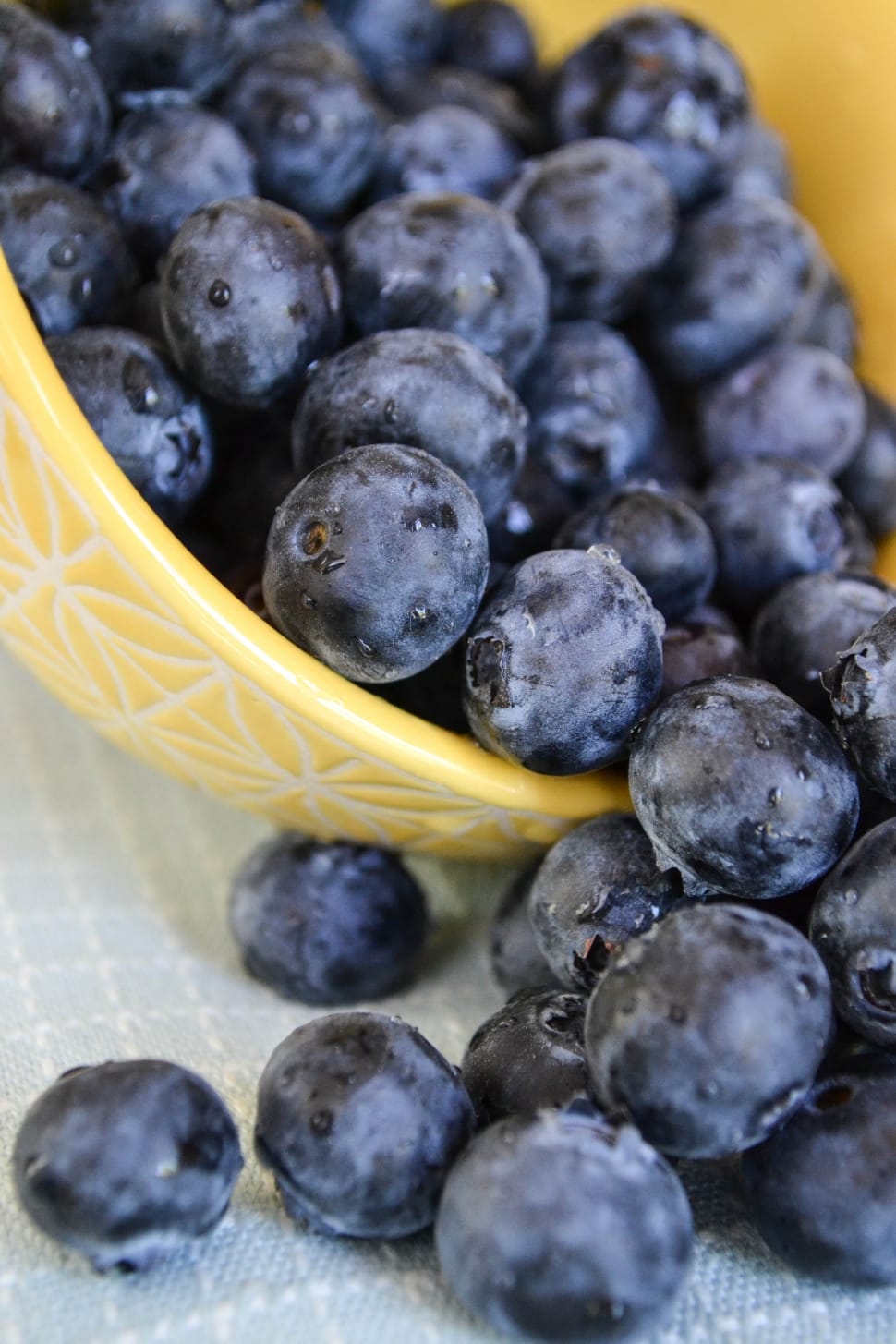 blue berries and yellow  bowl preview