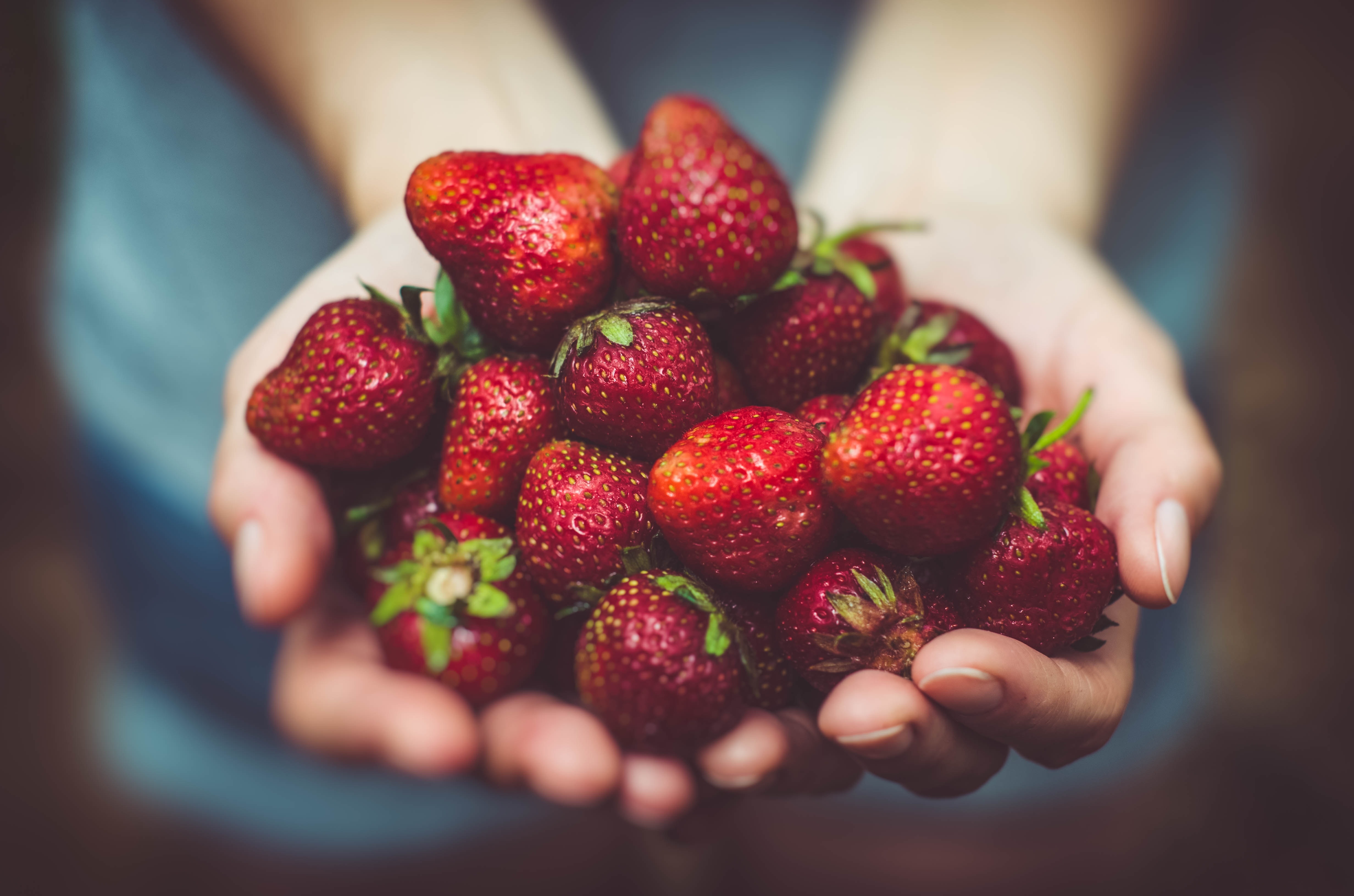 red strawberries bundle