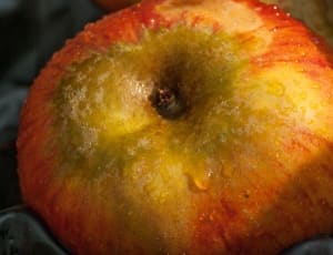 green and red apple fruit thumbnail