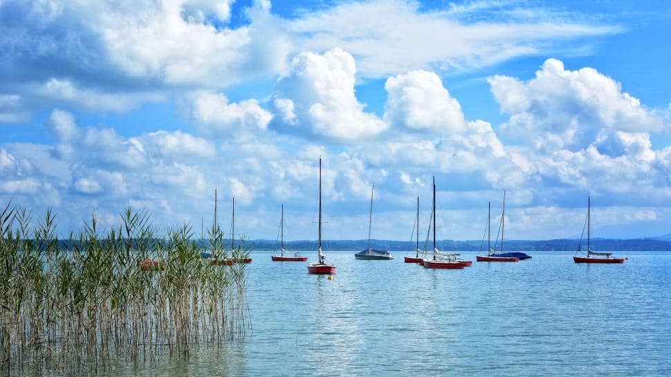 Sailing Boats, Boats, Port, Boat Masts, cloud - sky, sky preview