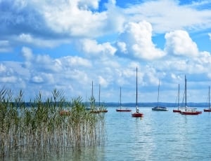 Sailing Boats, Boats, Port, Boat Masts, cloud - sky, sky thumbnail