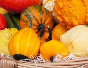 gourds in the basket thumbnail