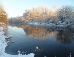 river view surrounded with snow coated plants thumbnail