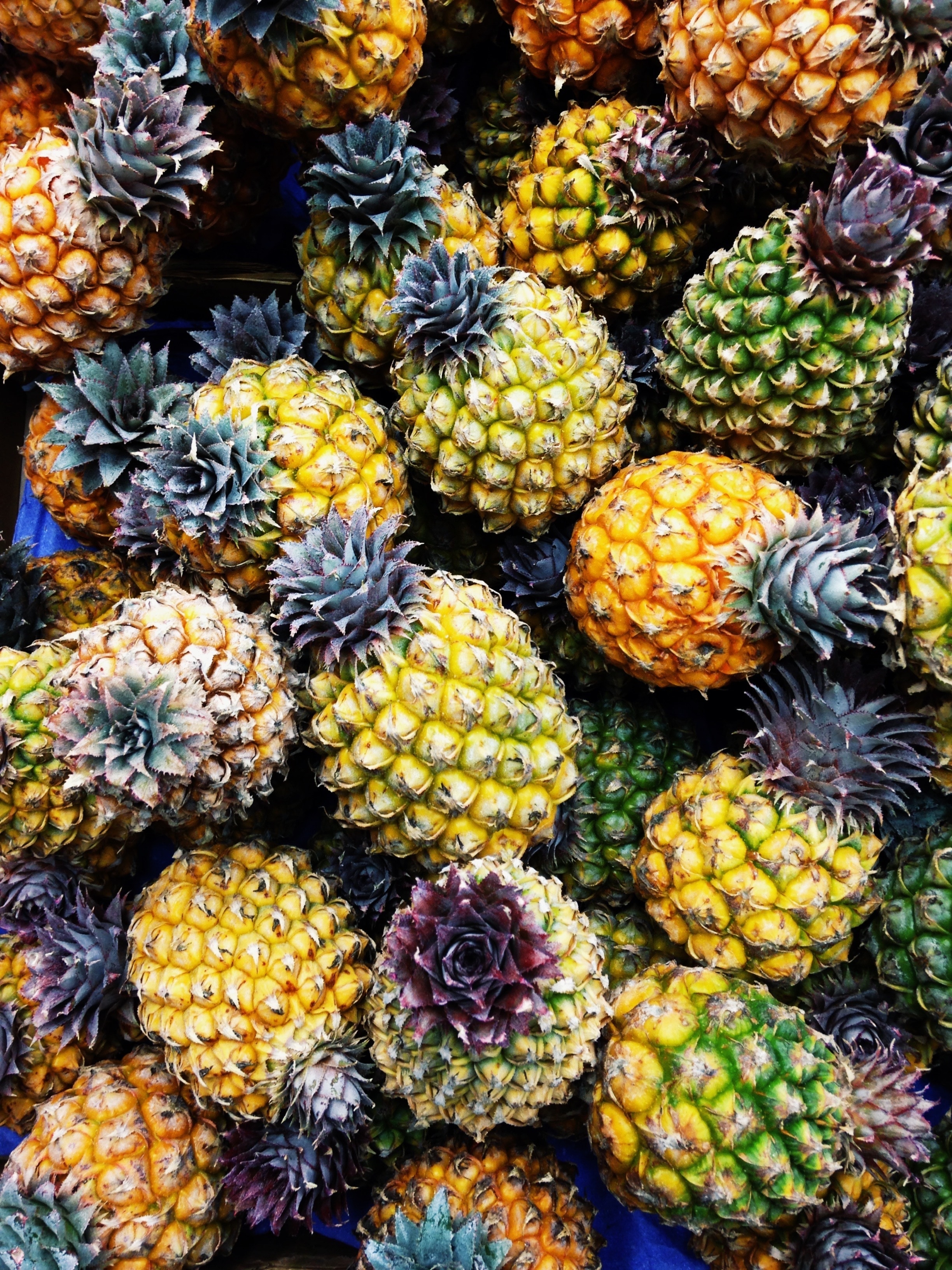 pineapple fruits