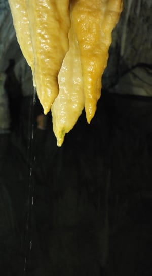 close up photo of yellow fruit thumbnail