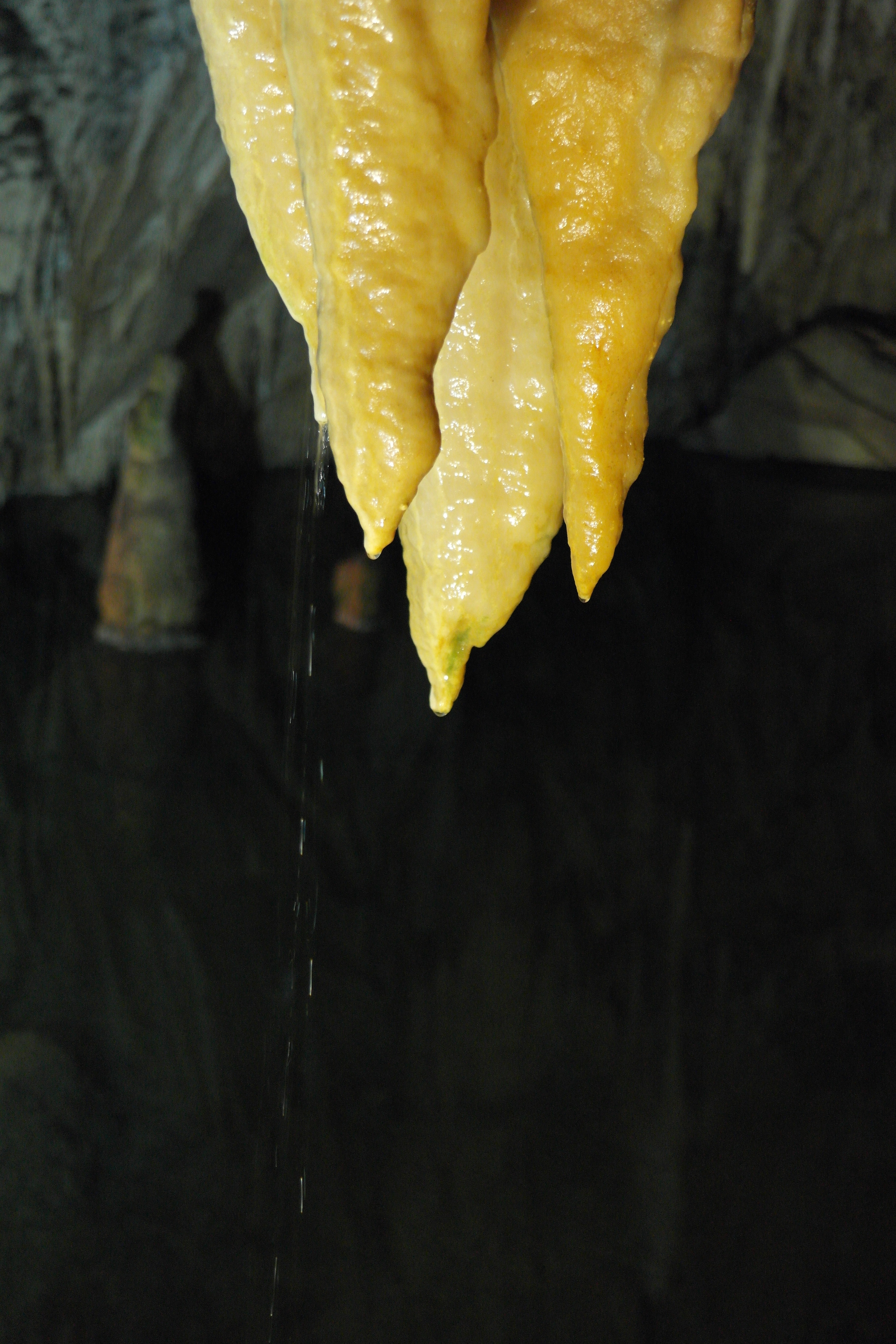 close up photo of yellow fruit