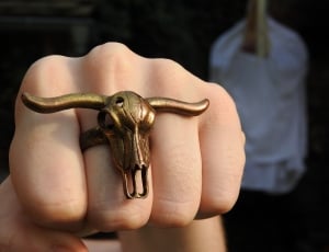 gold bull ring thumbnail