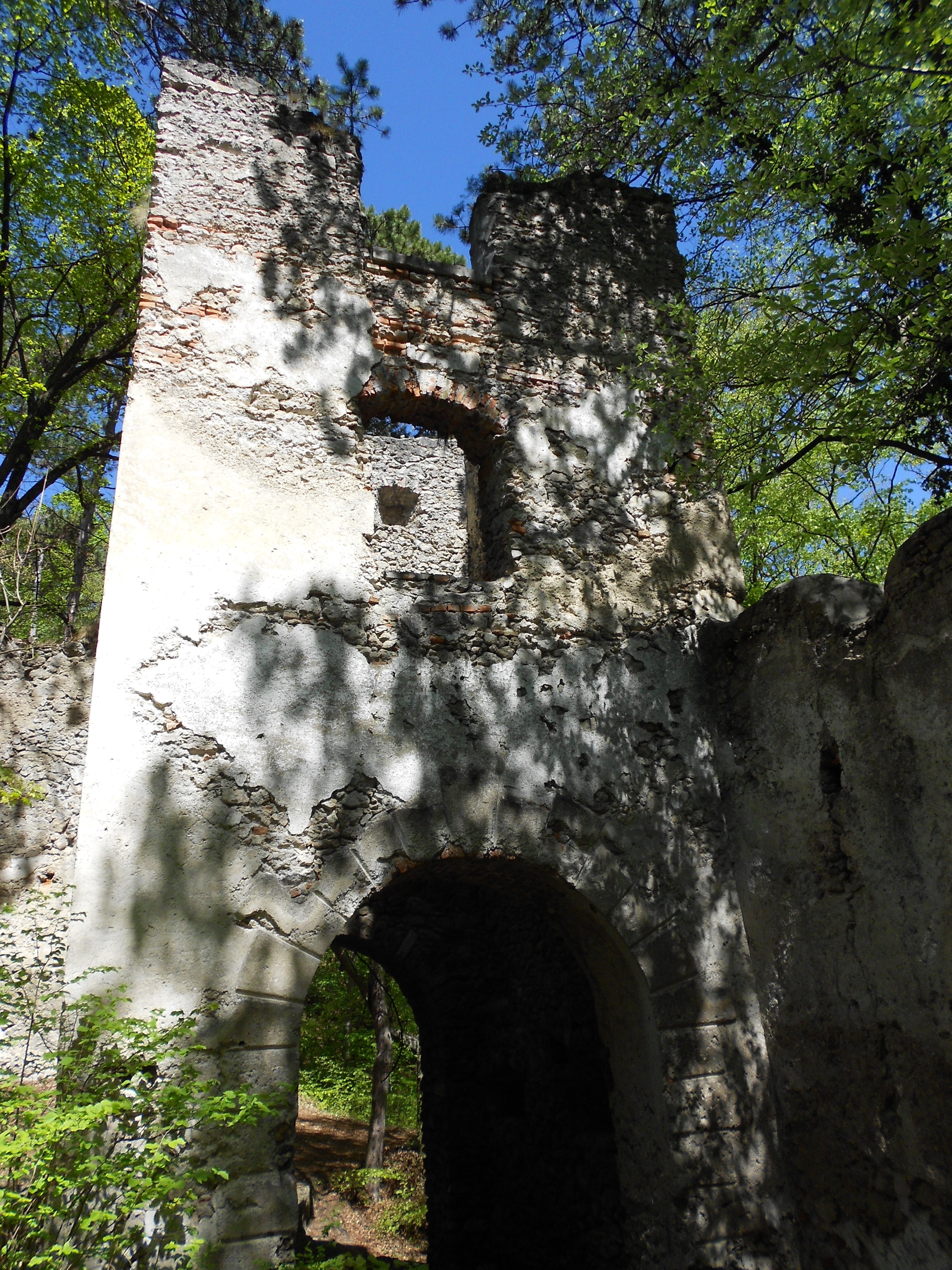 Tower, Castle, Fortress, Ruin, tree, day