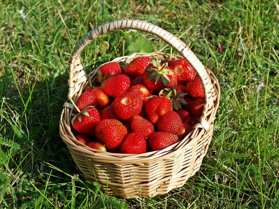strawberries in brown wicker basket preview