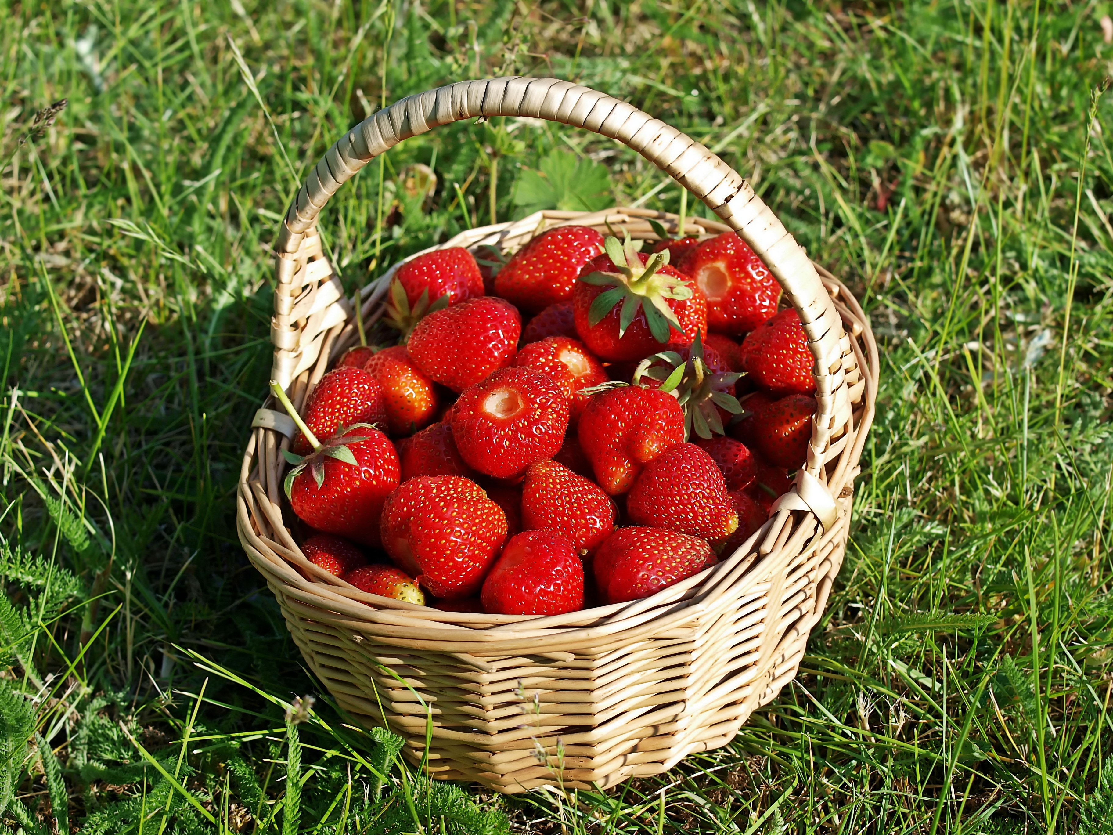 strawberries in brown wicker basket