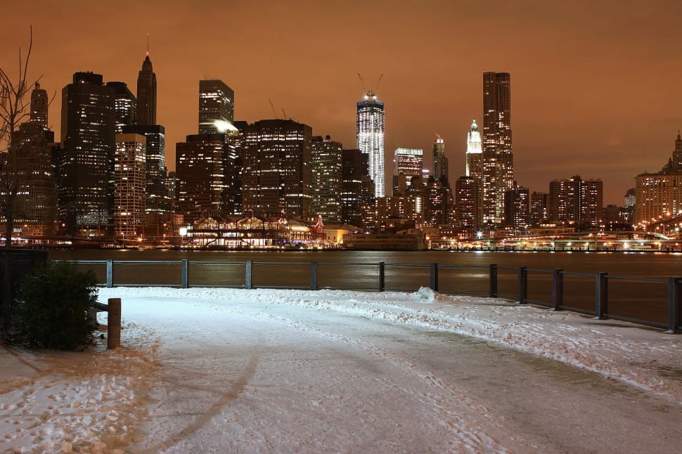 new york skyline during night time preview