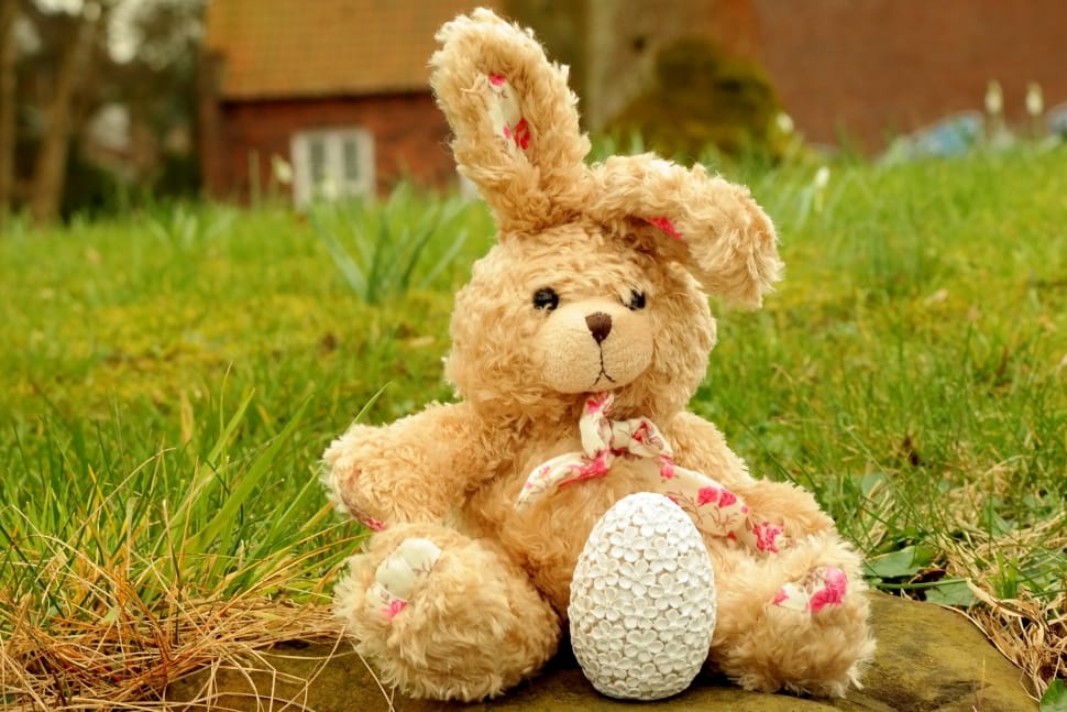 Fabric, Stuffed Animal, Soft Toy, Hare, teddy bear, stuffed toy preview