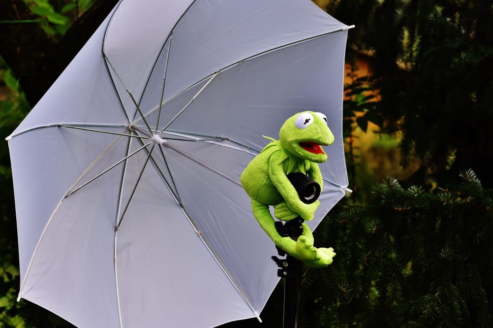 green kermit the frog plush toy and white umbrella preview