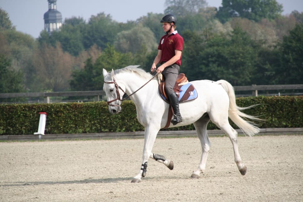 man riding on white horse preview