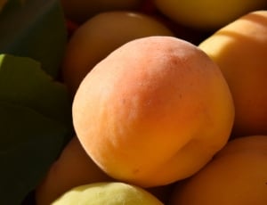 orange round fruit thumbnail