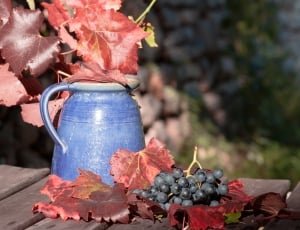 grape fruit and ceramic teapot thumbnail