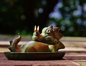green and brown dragon toy on black ceramic saucer thumbnail