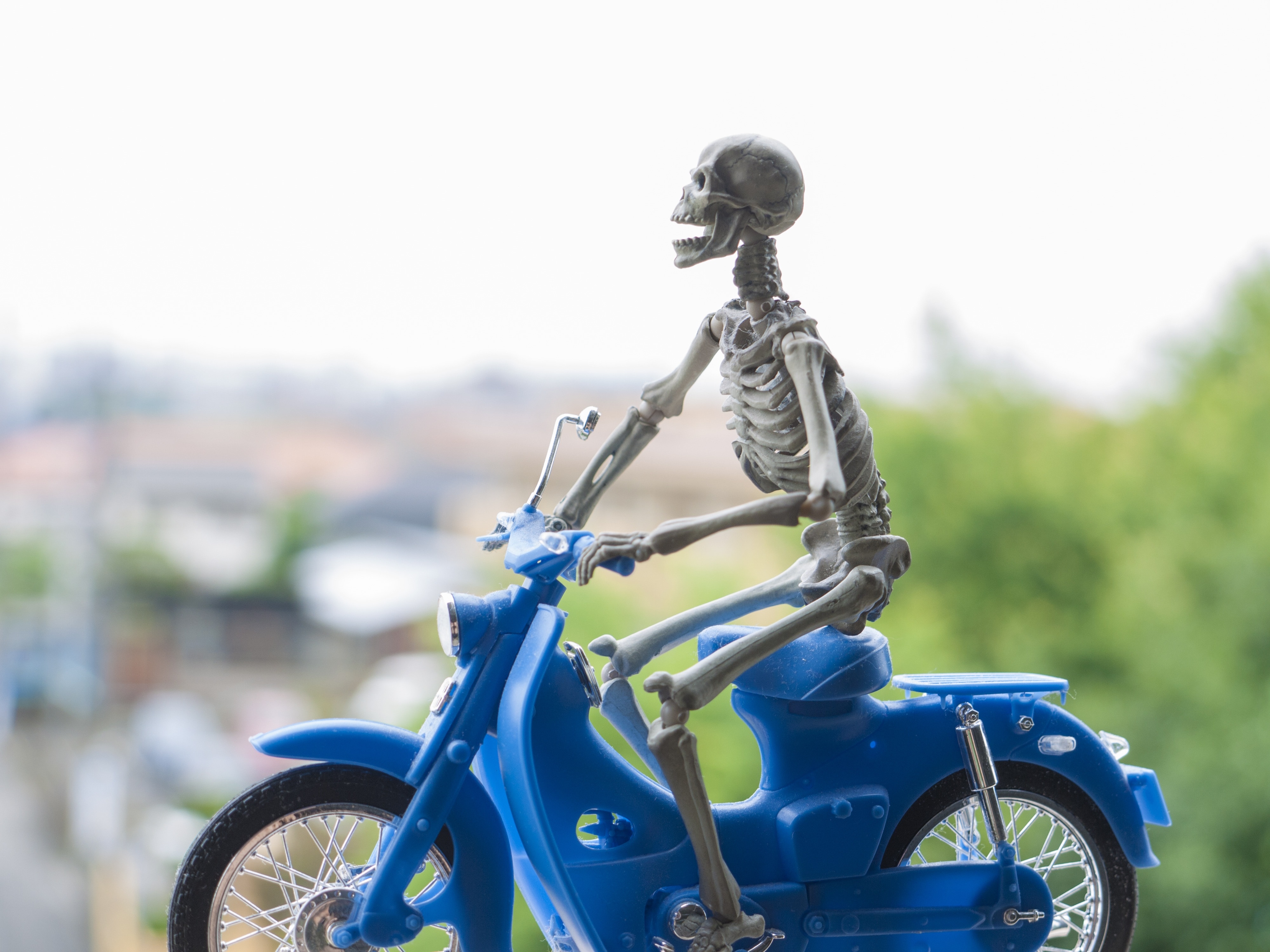 skeleton riding motor scooter