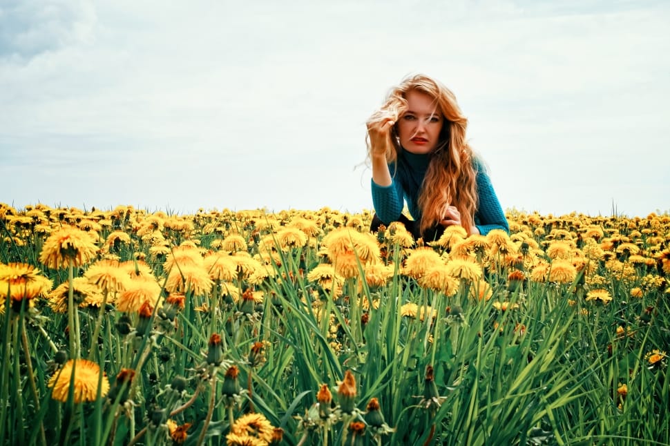women's blue sweater and yellow sunflowers preview