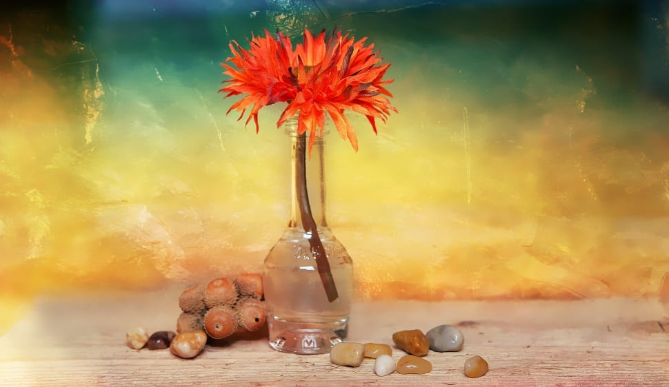tilt shift lens photography of flower in a bottle preview