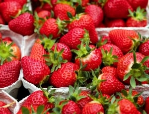 assorted red strawberries thumbnail