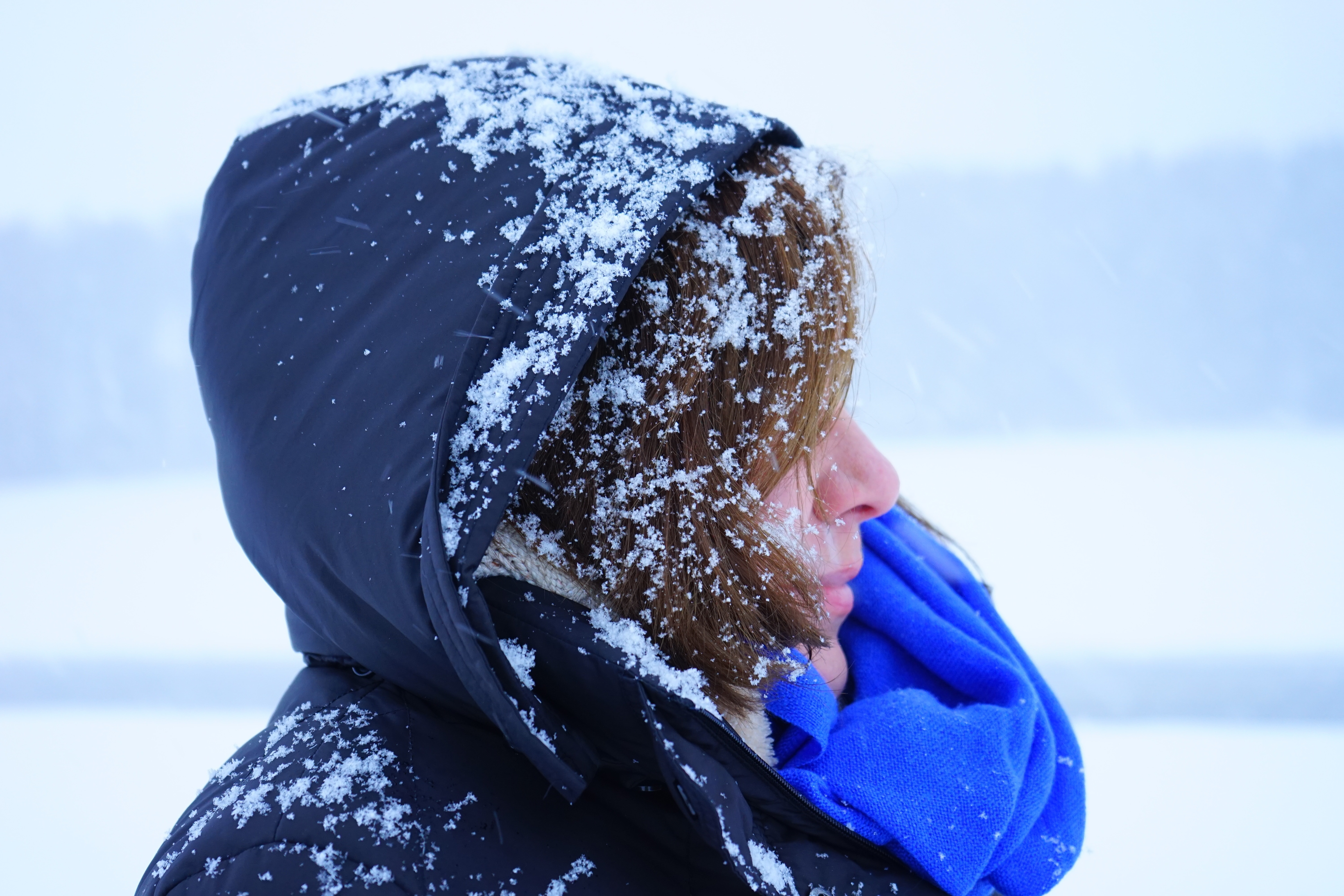 Woman, Cold, Person, Girl, Winter, winter, snow