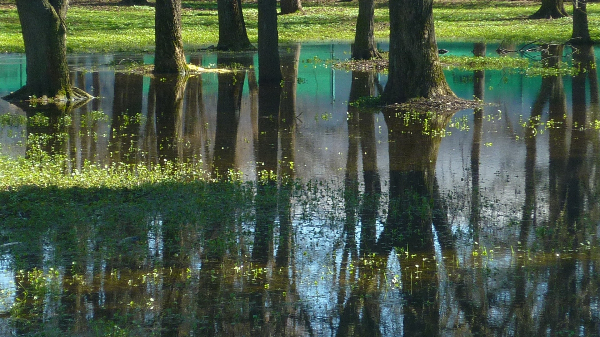 Nature, Reflection, Water, reflection, nature