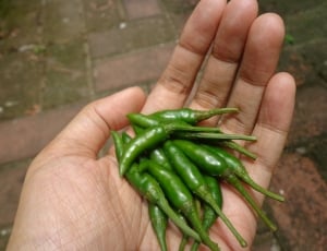green chili pepper lot thumbnail