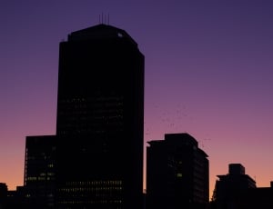 silhouette of high rise concrete building thumbnail