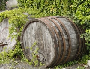 two brown wooden barrels thumbnail