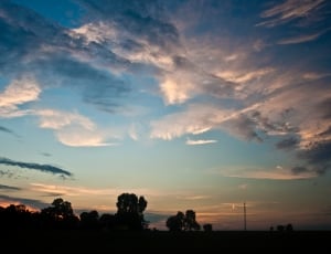 silhouette of trees under blue cloudy sky during dusk thumbnail