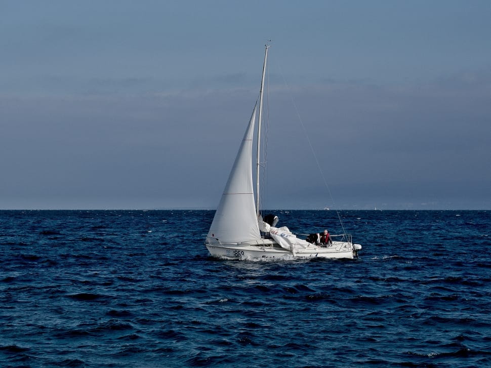 white sailing boat preview