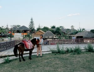 person in gray jacket beside brown horse during daytime thumbnail