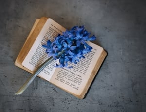 blue flowers and book page thumbnail