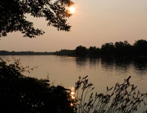 silhouette photo of body of water surrounded by trees during golden hour thumbnail